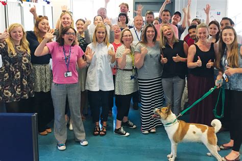 battersea dogs home donation|Battersea .